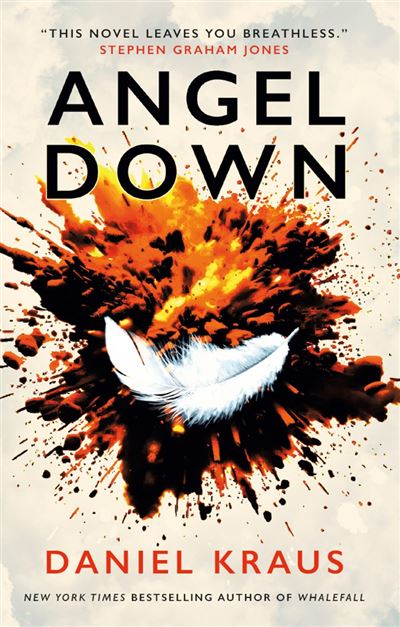 Angel Down, l'adaptation de ce roman fantastique arrive !